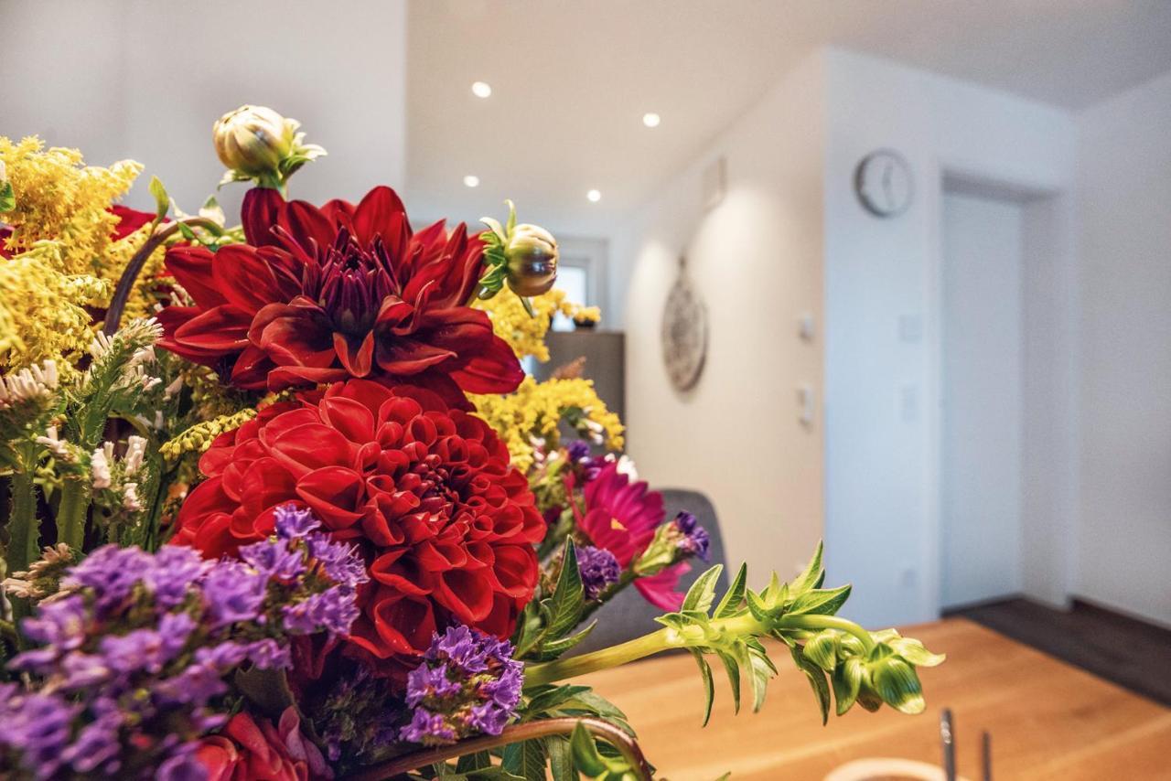 Ferienwohnung Veilcheneck エアフルト エクステリア 写真